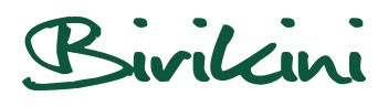 Birikini Shoes